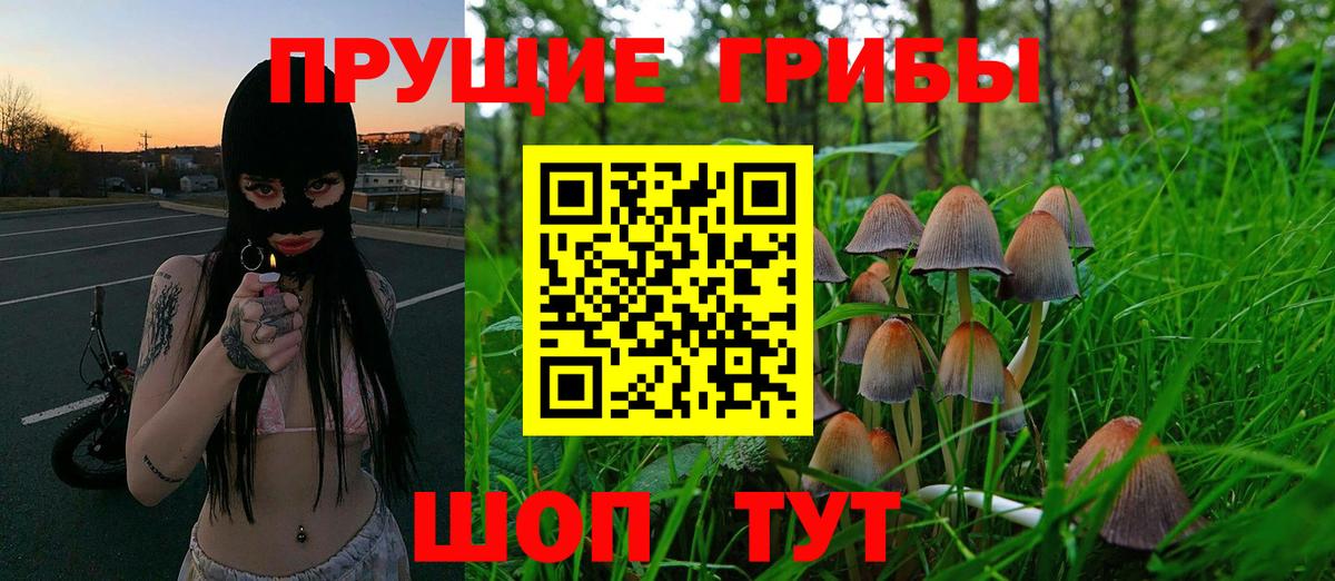 Псилоцибиновые грибы мухоморы  Вход с VPN  Чернушка 