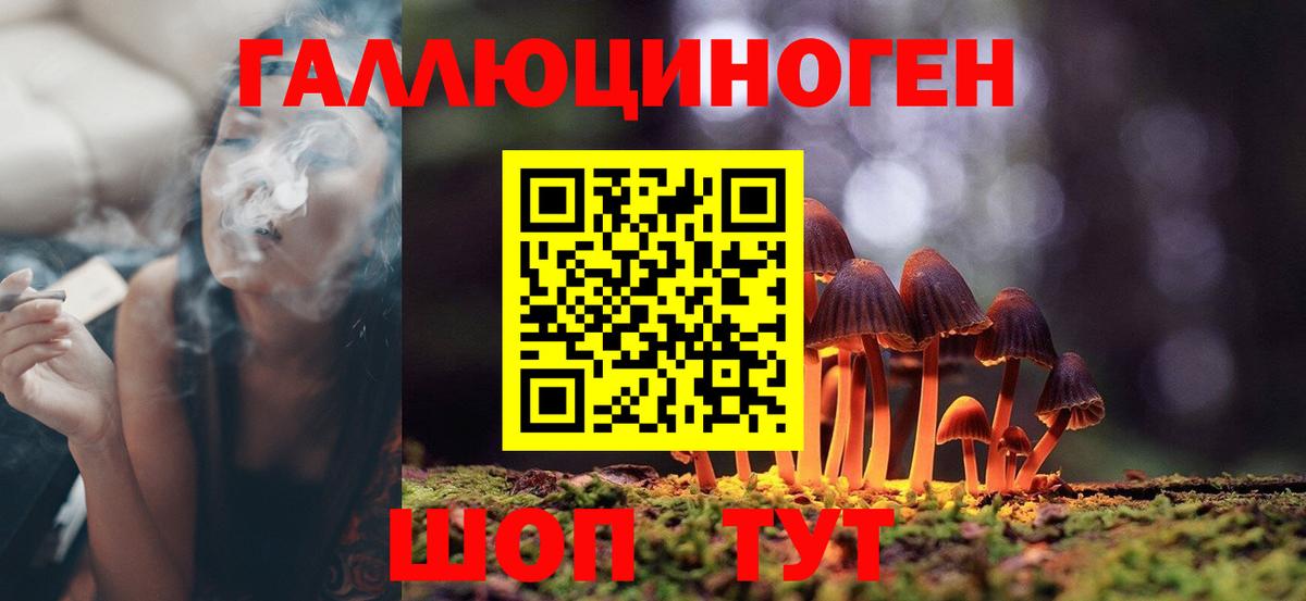 Галлюциногенные грибы мицелий Чернушка